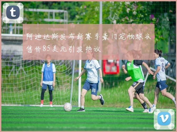 阿迪达斯发布新赛季豪门宠物球衣售价85美元引发热议