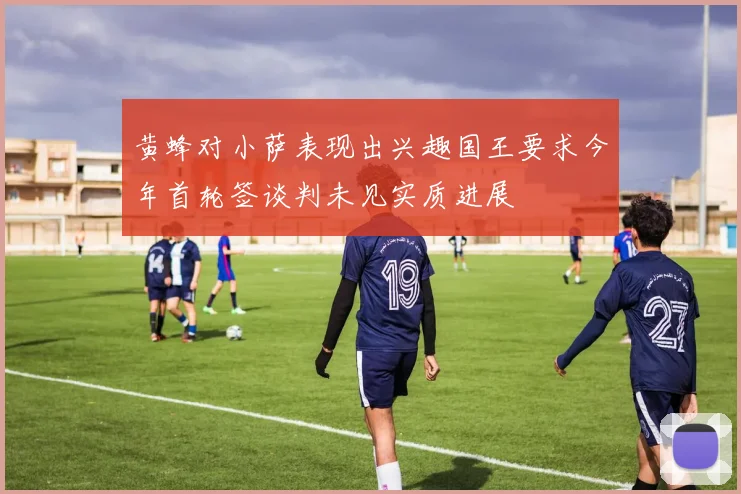 黄蜂对小萨表现出兴趣国王要求今年首轮签谈判未见实质进展